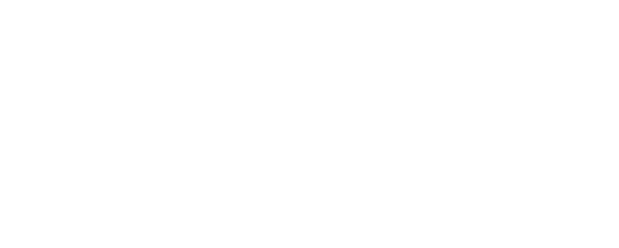 Logo Trizzy